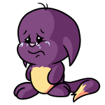 Purple Kacheek