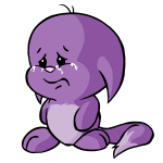 Purple Kacheek