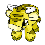 Yellow Kau