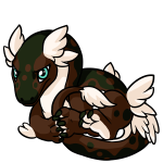Brown Kohmo