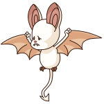 Cream Korbat