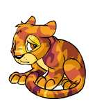 Camouflage Kougra