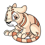 Cream Kougra