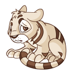 Cream Kougra