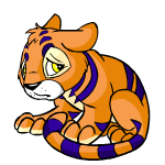 Orange Kougra