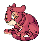 Pink Kougra