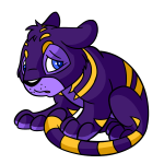 Purple Kougra