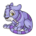 Purple Kougra