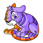 Split Kougra