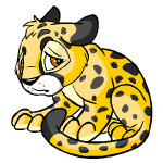 Spotted Kougra