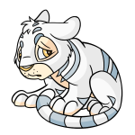 White Kougra
