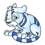 White Kougra