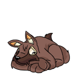 Brown Lupe