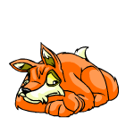 Orange Lupe