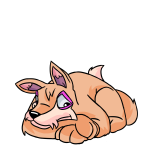 Orange Lupe