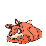 Orange Lupe