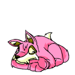 Pink Lupe