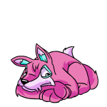 Pink Lupe