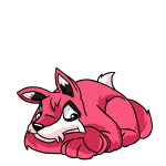 Pink Lupe