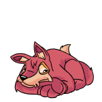 Pink Lupe