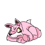 Pink Lupe