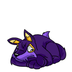 Purple Lupe