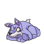 Purple Lupe