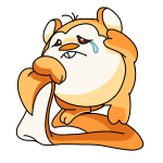 Orange Meerca