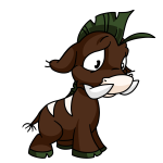 Brown Moehog