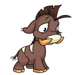 Brown Moehog
