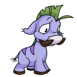 Purple Moehog