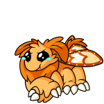 Orange Motere
