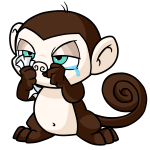 Brown Mynci