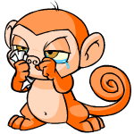 Orange Mynci