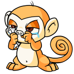 Orange Mynci