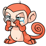 Orange Mynci