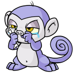 Purple Mynci