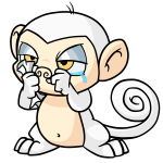 White Mynci