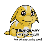 Island Poogle