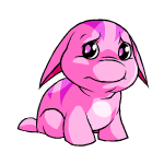 Pink Poogle