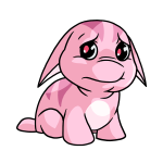 Pink Poogle