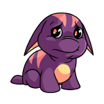 Purple Poogle