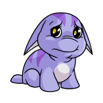 Purple Poogle