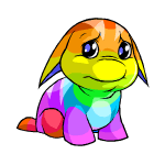 Rainbow Poogle