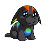 Rainbow Poogle