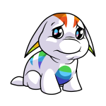 Rainbow Poogle