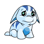 White Poogle