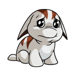 White Poogle