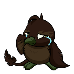 Brown Pteri