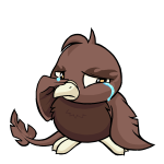 Brown Pteri